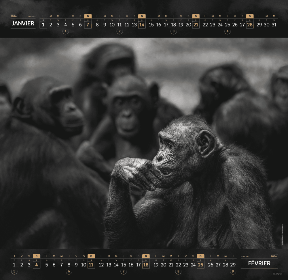 calendrier 2024 personnalisable
