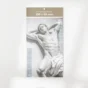 visuel feuillet 3 calendrier photo nu hommes sur fond gris