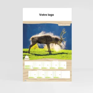 visuel couverture calendrier photo chasse sur fond gris