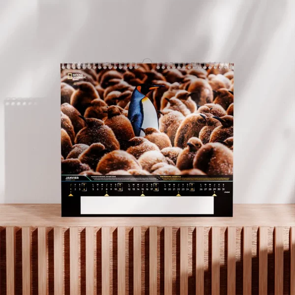 Calendrier Photo National Geographic – Image 2