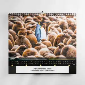 mise en scene calendrier photo national geographic feuillet 2 sur mur blanc