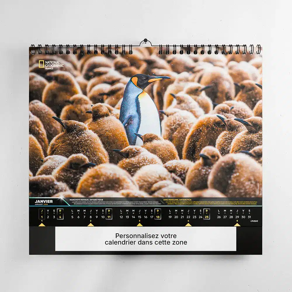Calendrier Photo National Geographic