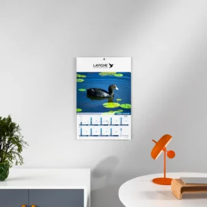 visuel feuillet 3 calendrier photo chasse sur fond gris
