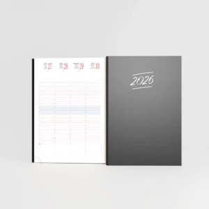 agenda 16x26 cm brocher gobi noir sur fond gris