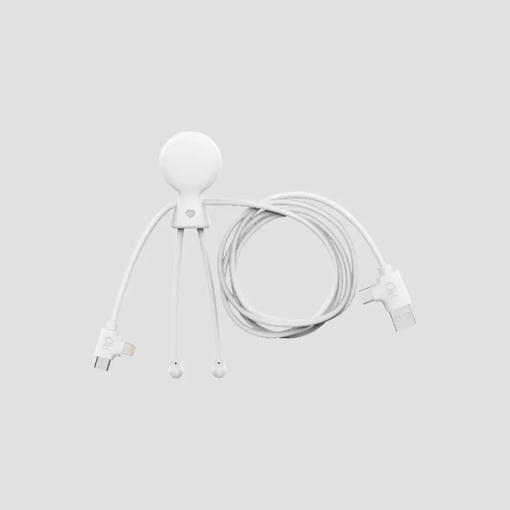 Câble Mr Bio Long CarPlay 60W
