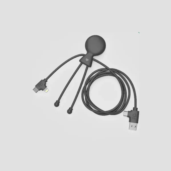 Câble Mr Bio Long CarPlay 60W – Image 1