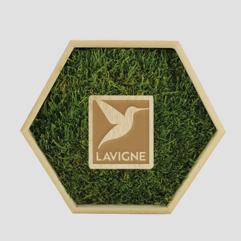 Cadre mousse et bois hexagonal