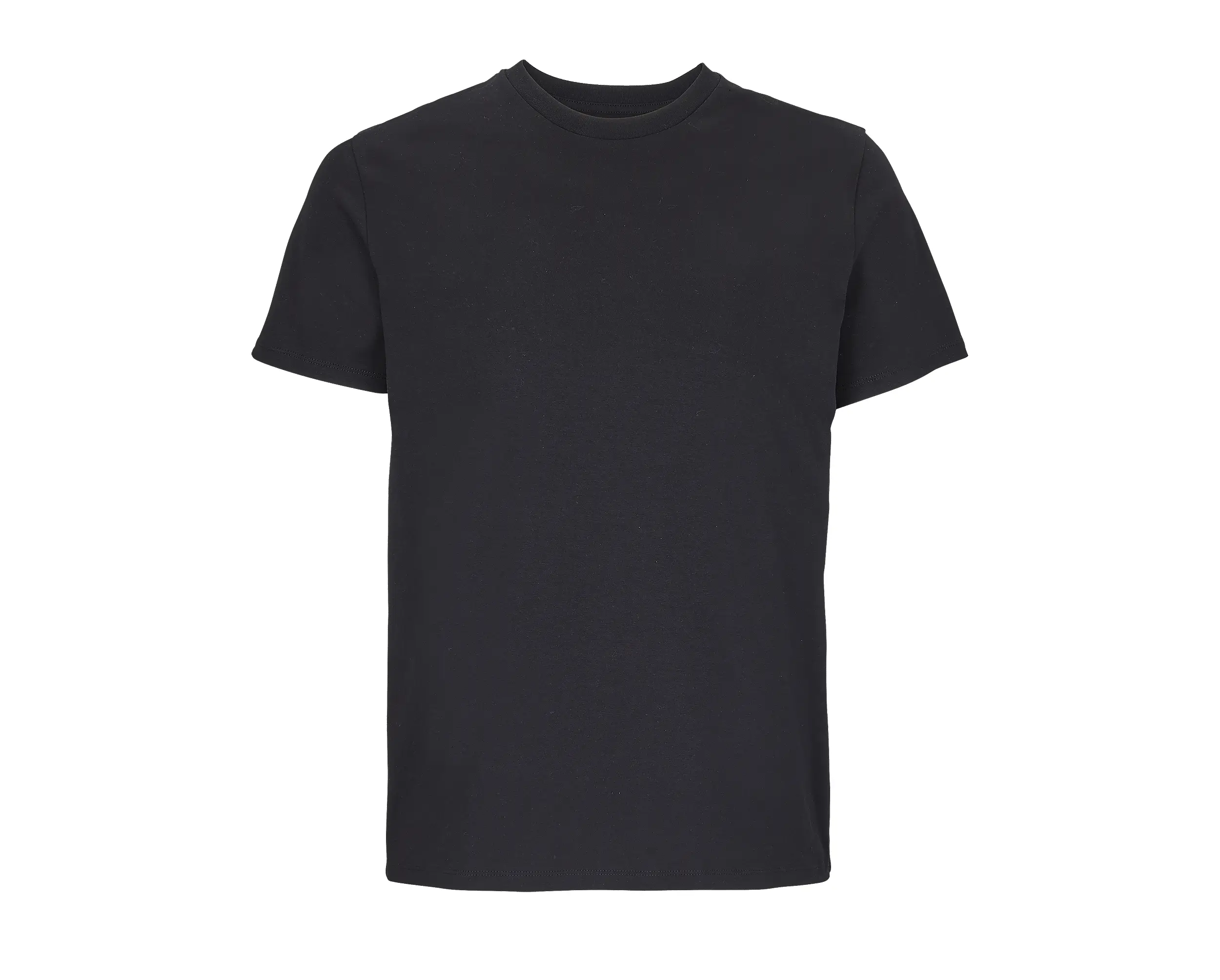 T-shirt manches courtes coton bio 175g - LEGEND – Image 5