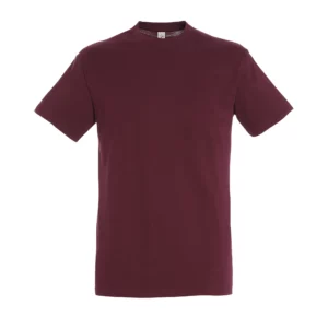 T-shirt col rond classique - REGENT – Image 6