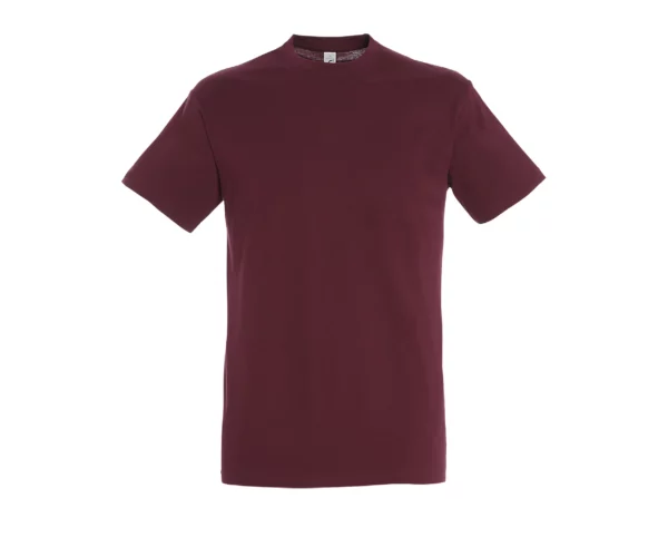 T-shirt col rond classique - REGENT – Image 6