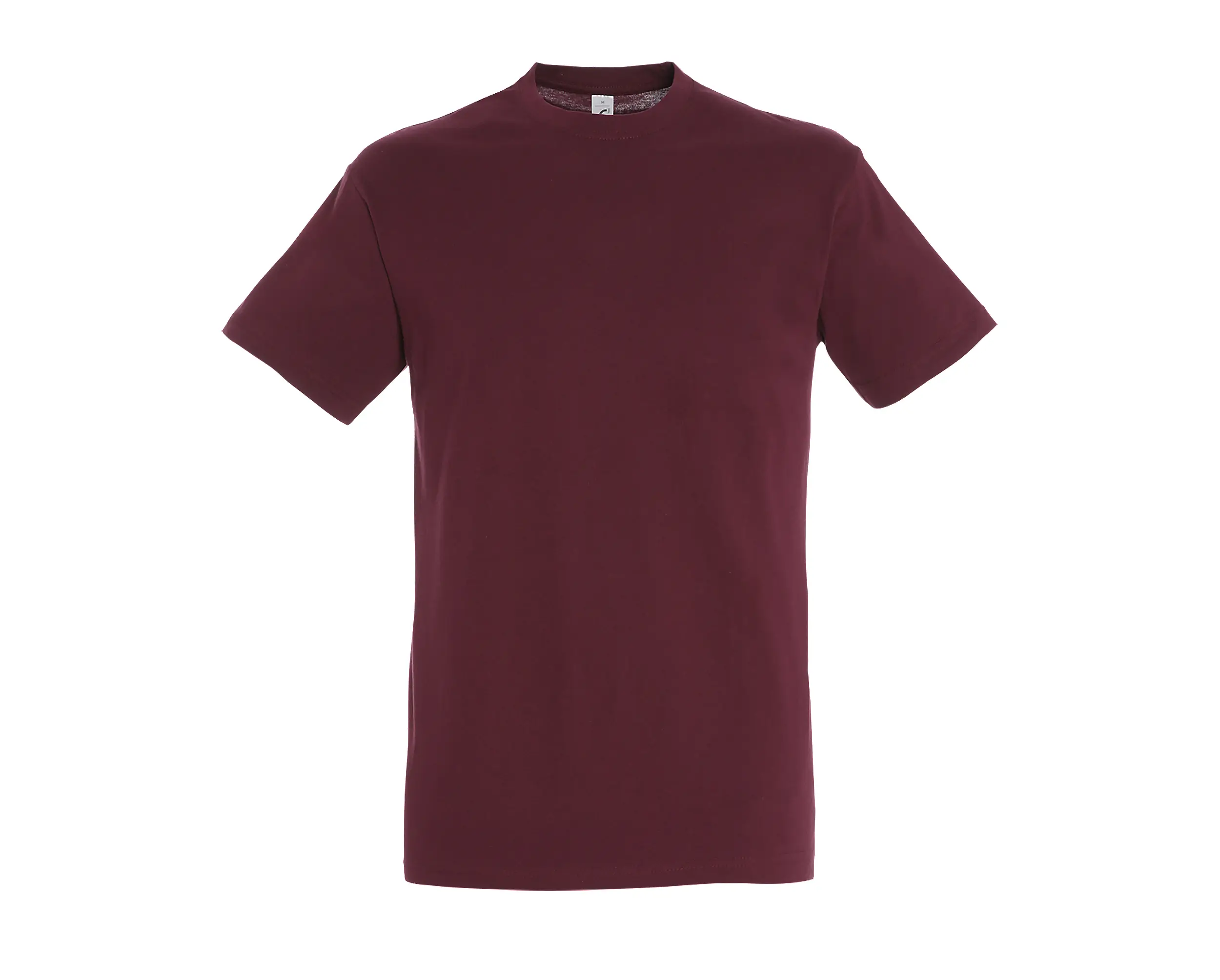 T-shirt col rond classique - REGENT – Image 6