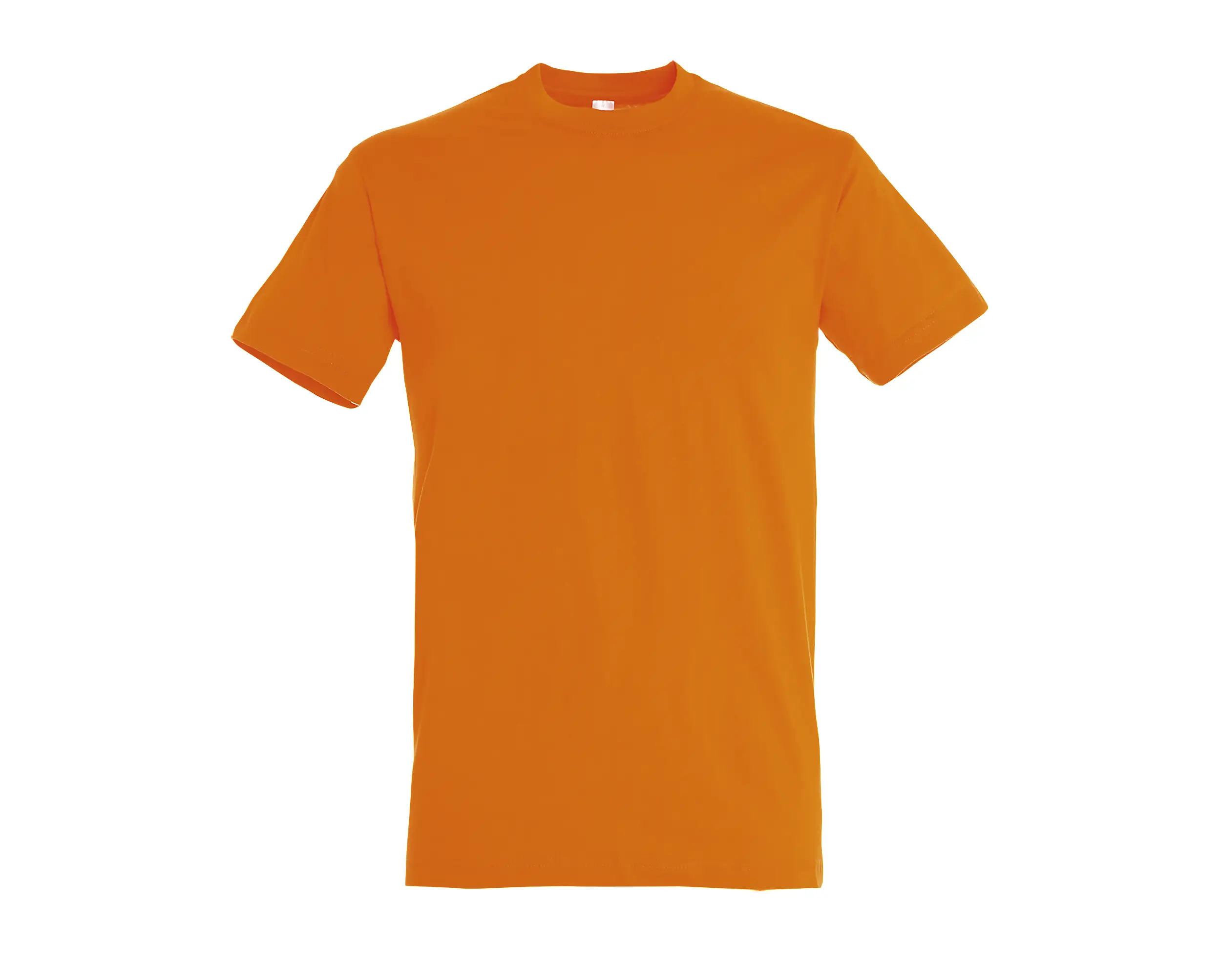 T-shirt col rond classique - REGENT – Image 3