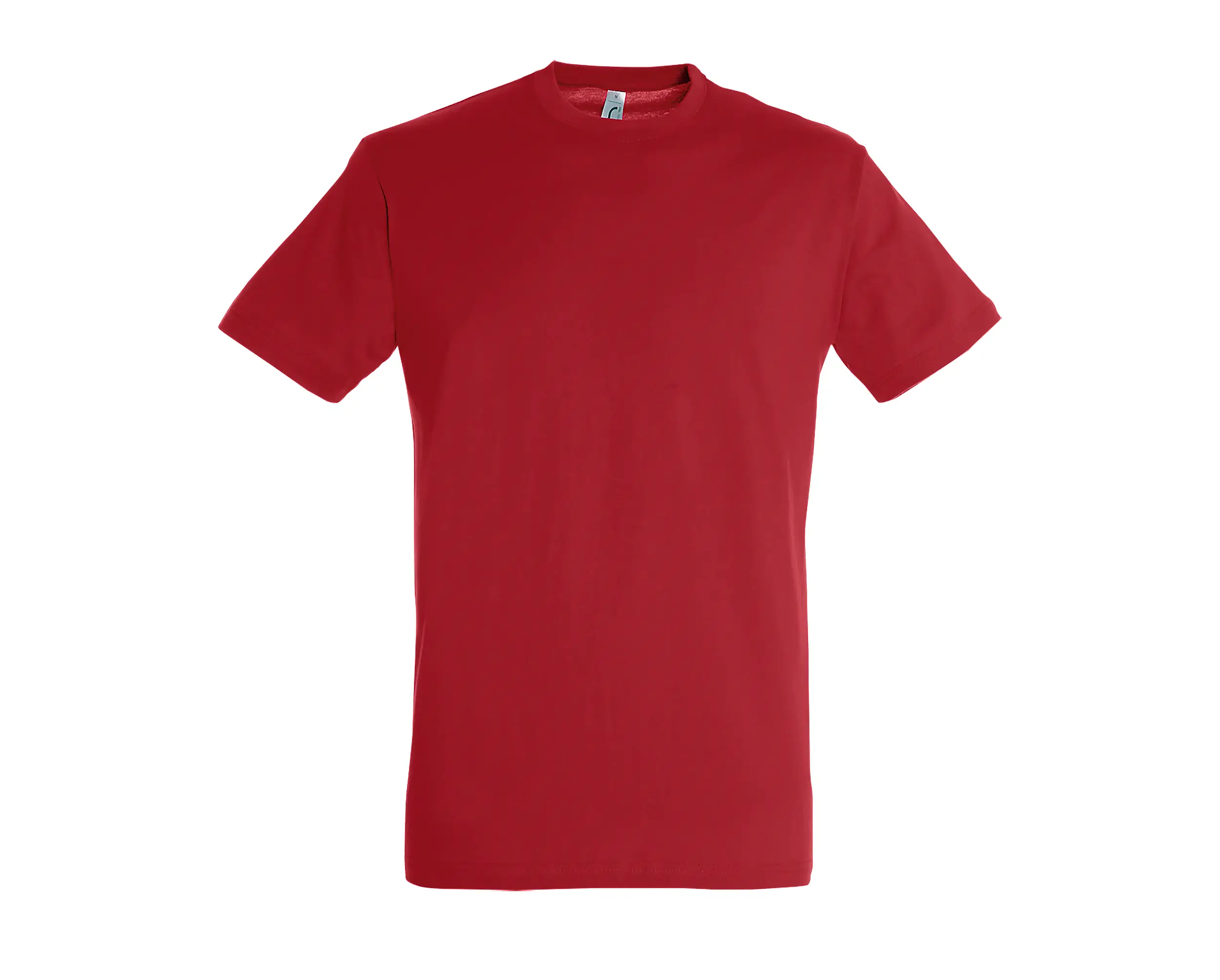 T-shirt col rond classique - REGENT – Image 12
