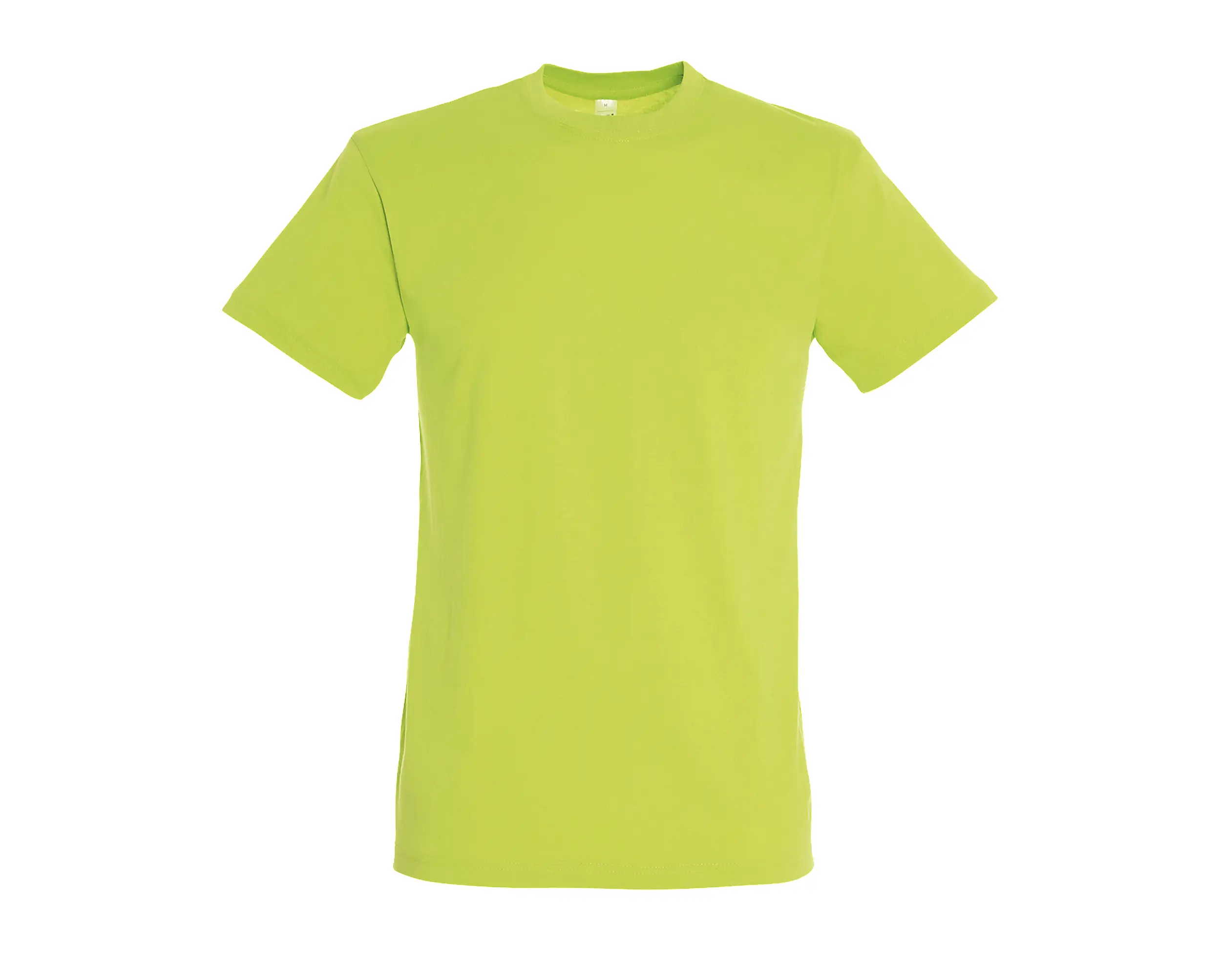 T-shirt col rond classique - REGENT – Image 4