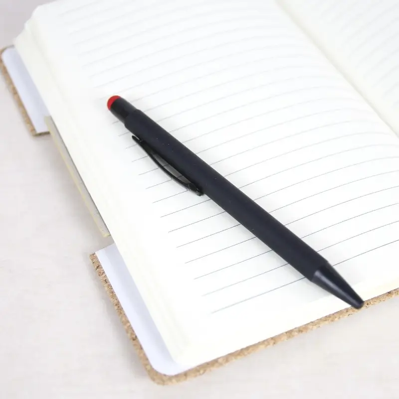 Stylo bille bicolore avec stylet – EXPRESS 72H