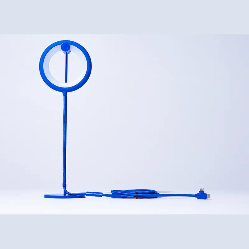 Lampe d’ambiance ‘Bird’ – personnalisable