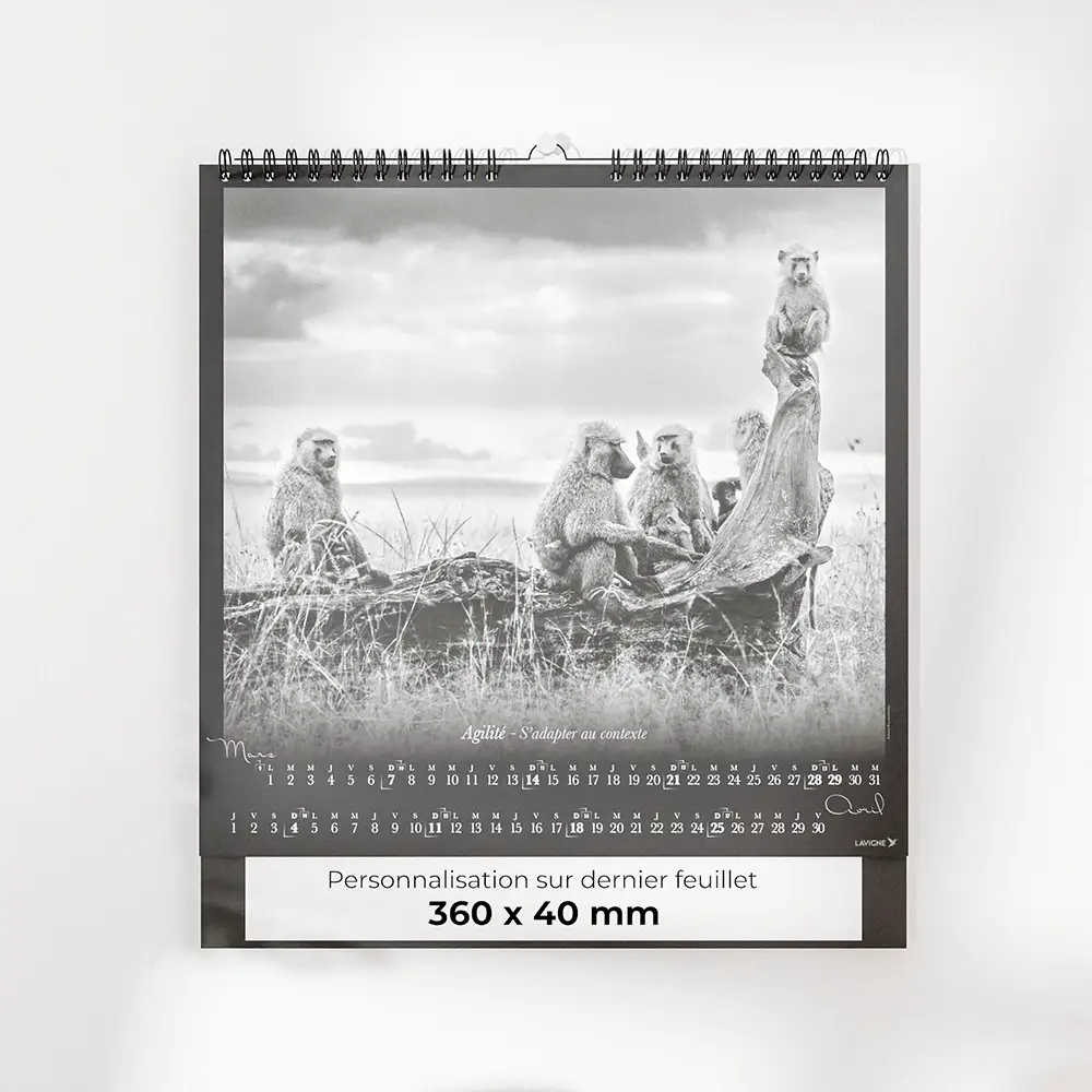 visuel feuillet 3 calendrier photo noir et blanc sur fond gris
