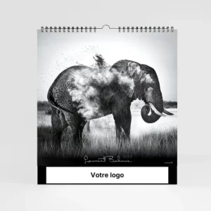 visuel couverture calendrier photo noir-et-blanc sur fond gris