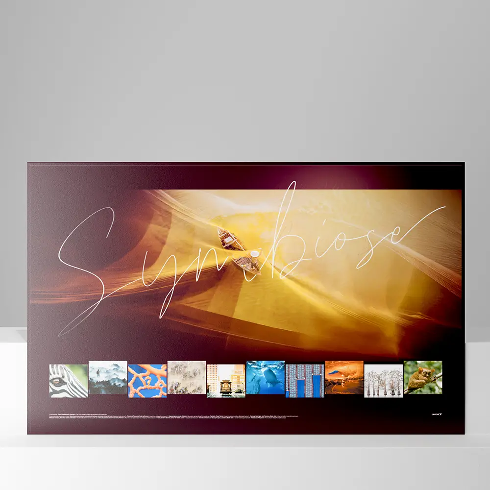 Calendrier cartonné maxi format Symbiose