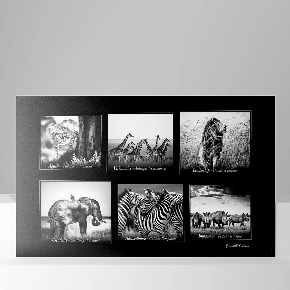 Calendrier cartonné maxi format Noir & Blanc - Laurent Baheux