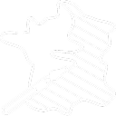 lavigne-fabrique-en-france-logo-blanc 1